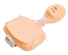 Mini CPR Training Manikin