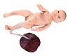 Advanced Neonatal Umbilical Cord Nursing Model