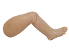 Advanced Infant venipuncture Leg Model