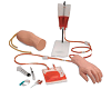 Hand and Elbow Combined Intravenous Transfusion Training Arm