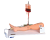 Bone Marrow Puncture and Femoral Venipuncture Simulator