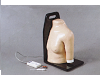 Advanced Electronic Shoulder Joint Intracavitary Injection Model